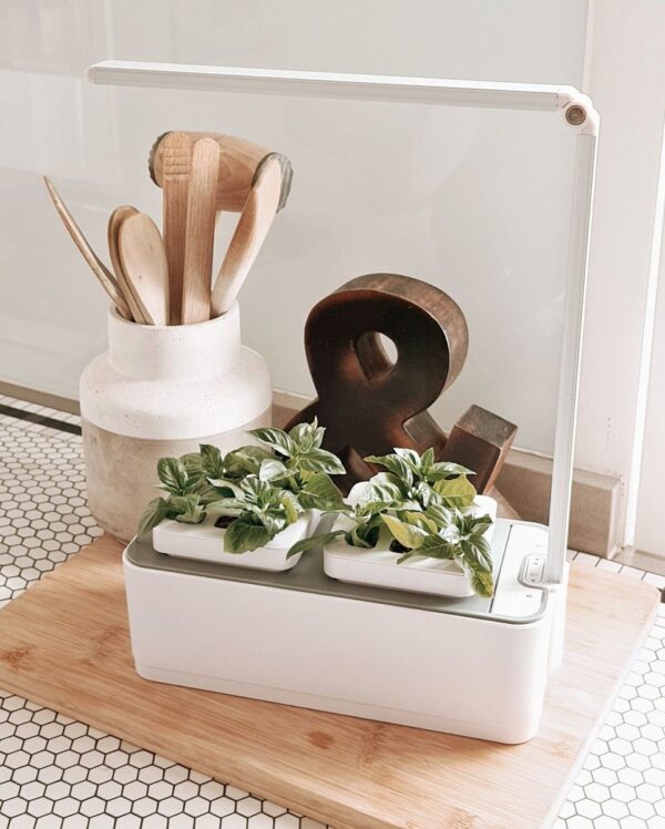 Small white hydroponic planter on a kitchen counter for herbs
